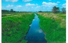 Property photo 1 - LAND AUCTION - 278.5+/- Acres Offered in 5 Tracts